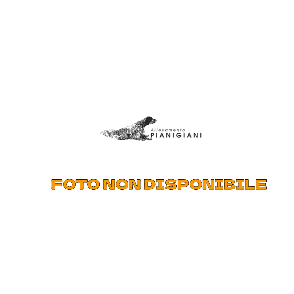 Cucciolata del 20/07/2025